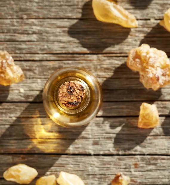 Gum Rosin Derivative