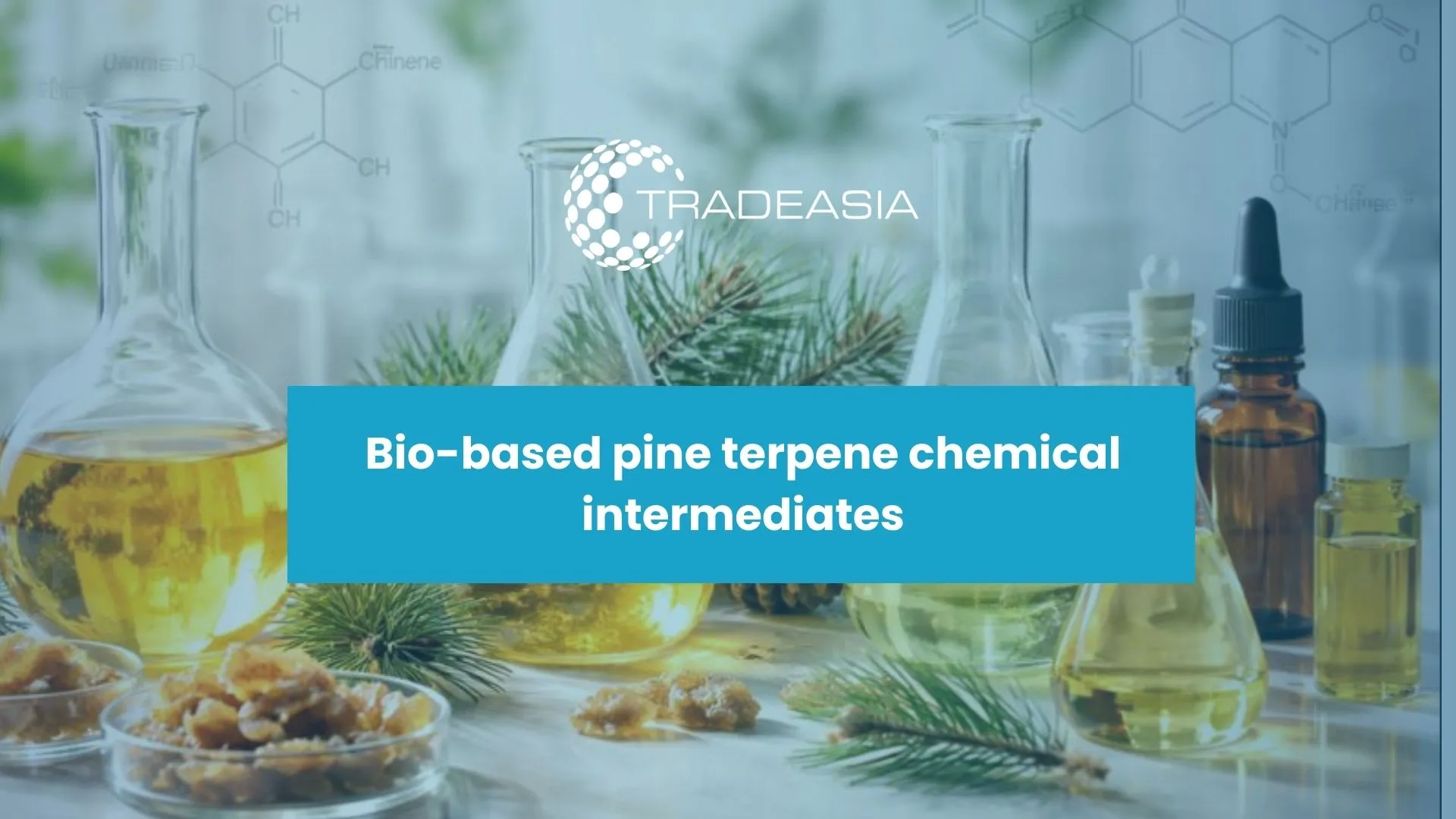 Gum Turpentine Oil: Asia's Versatile Pine Chemical Powerhouse