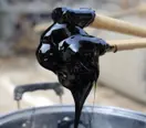 Pine Tar